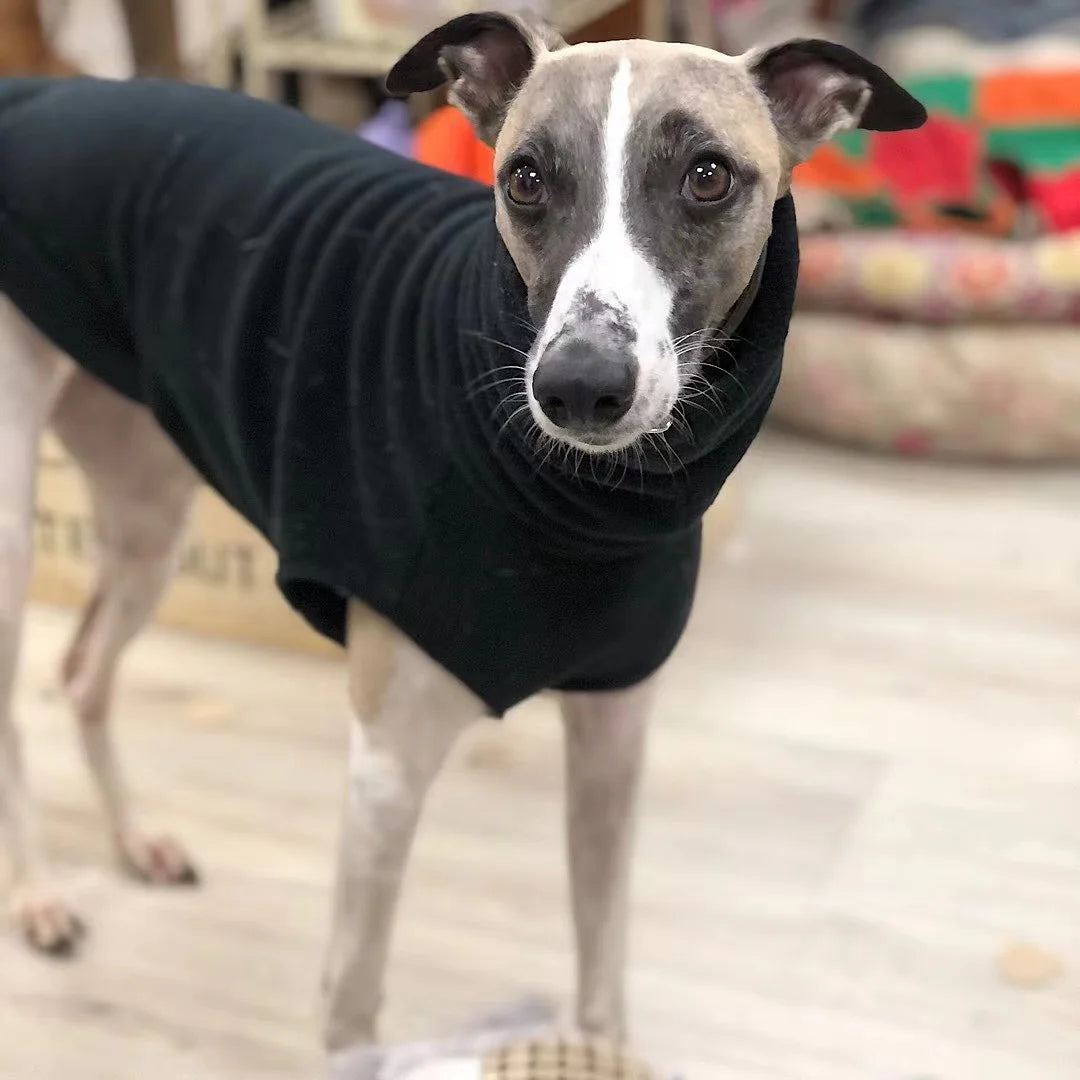 Gilet polaire d'hiver pour whippet