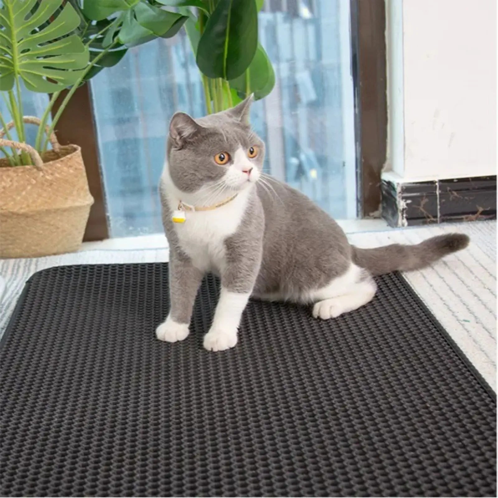 Tapis de litière pour chat
