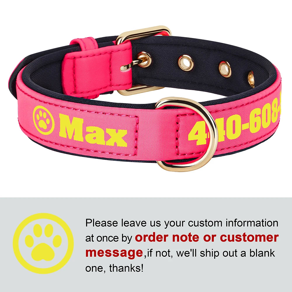Customized Dog Collar