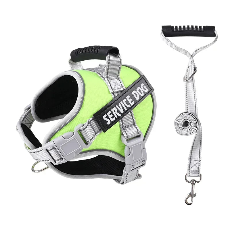 Harnais chien personnalisé