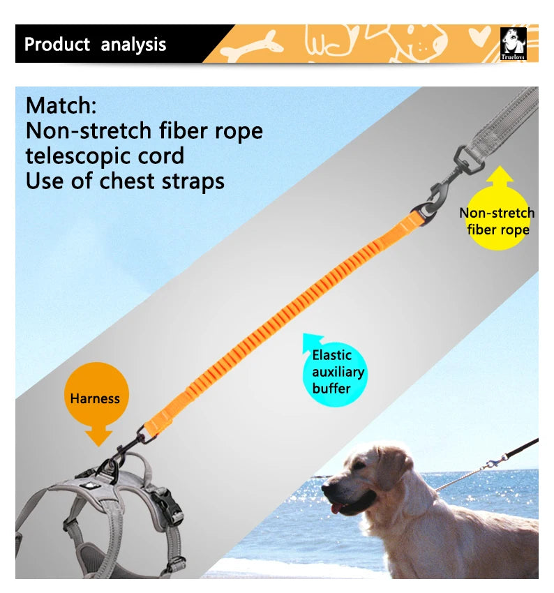 Short Bungee Leash