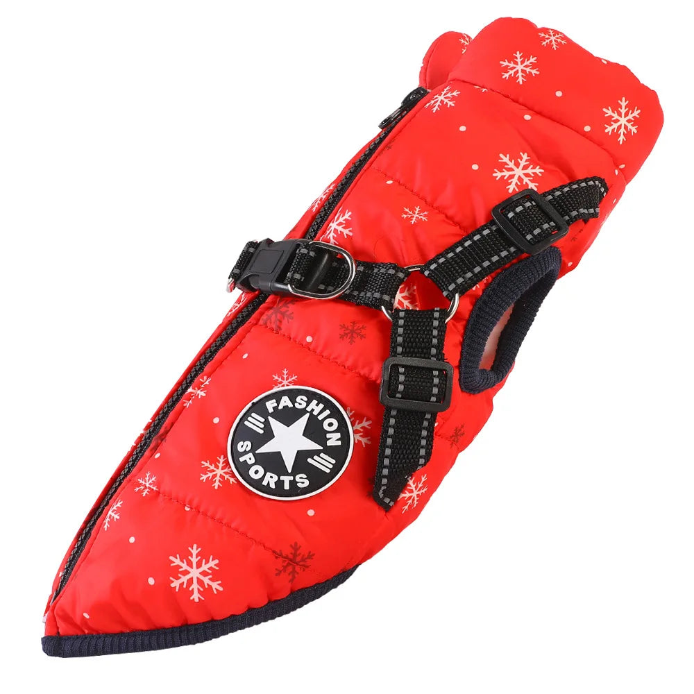 Vêtements d'hiver pour chien avec harnais