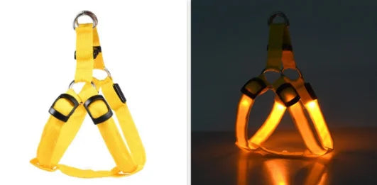 Harnais de poitrine pour chien