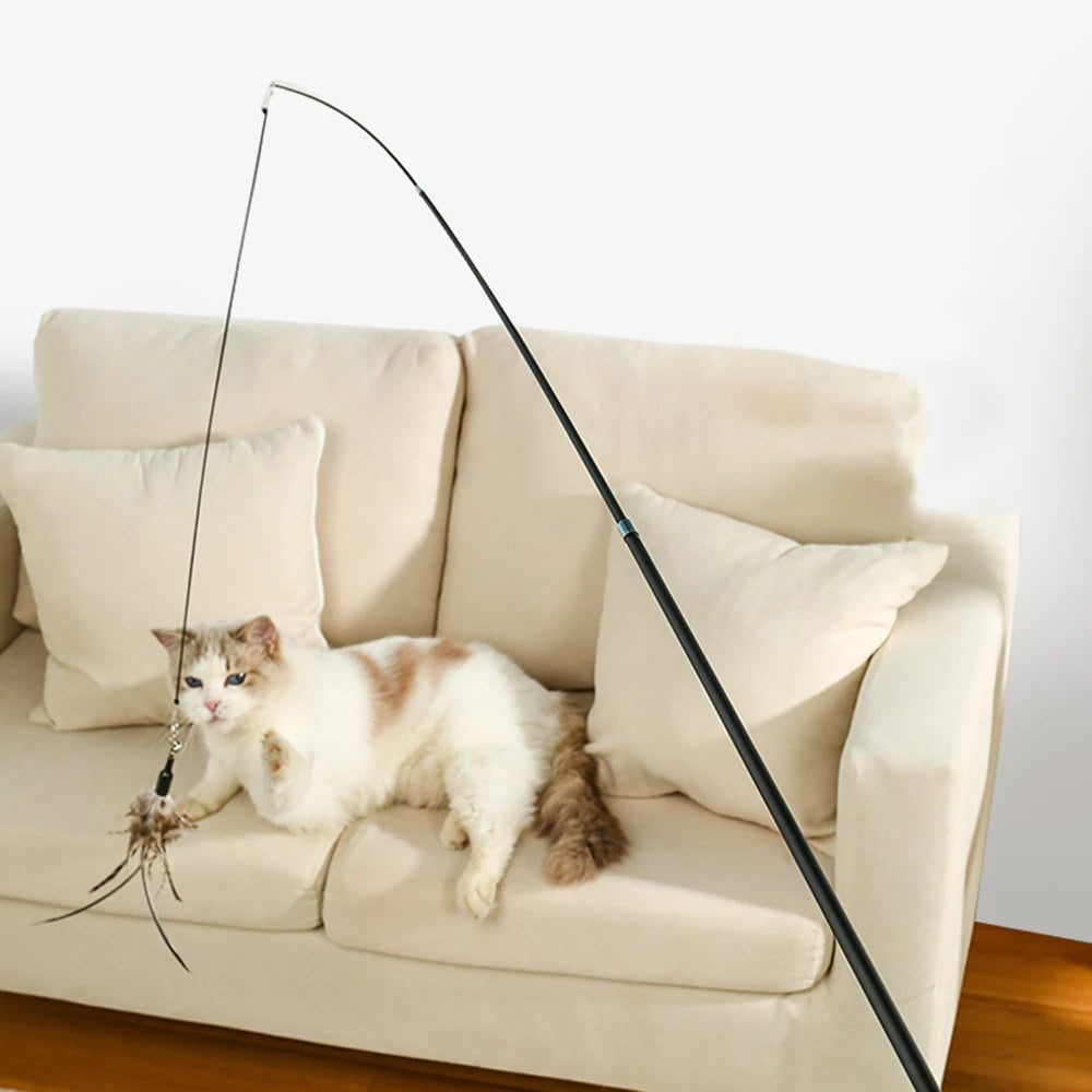 Jouet pour chat à long manche extensible