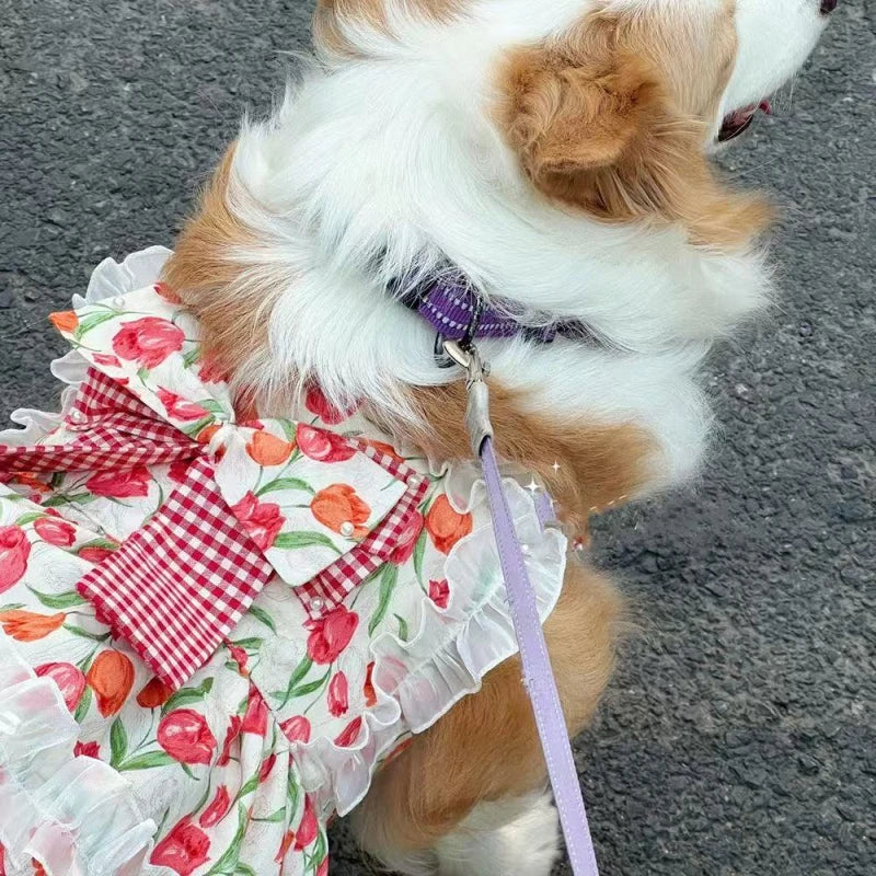Robe d'été pour grand chien