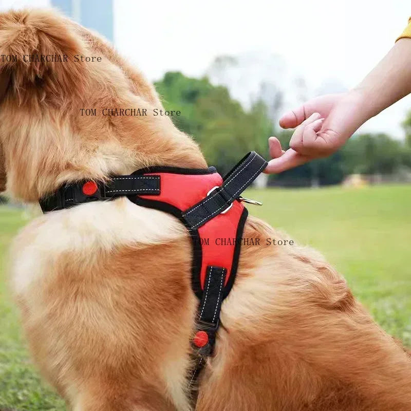 Harnais pour chien de selle