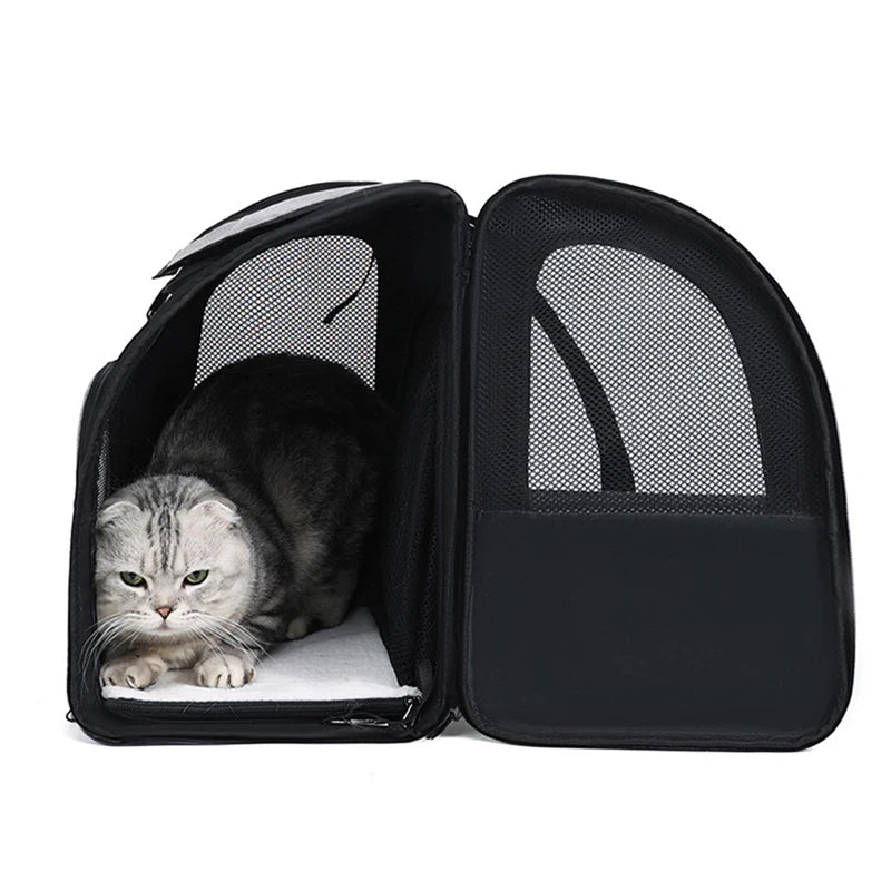 Sacs à dos de transport pour chats