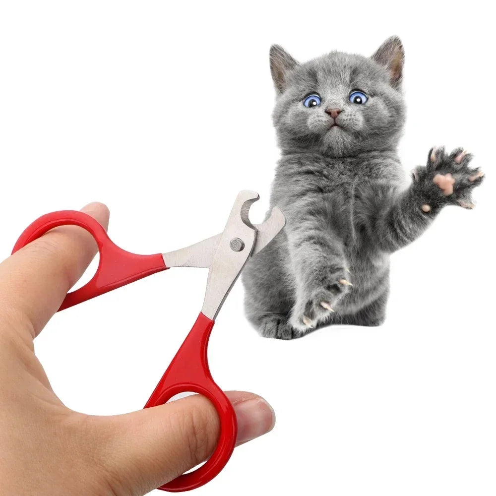 coupe-ongles pour chats
