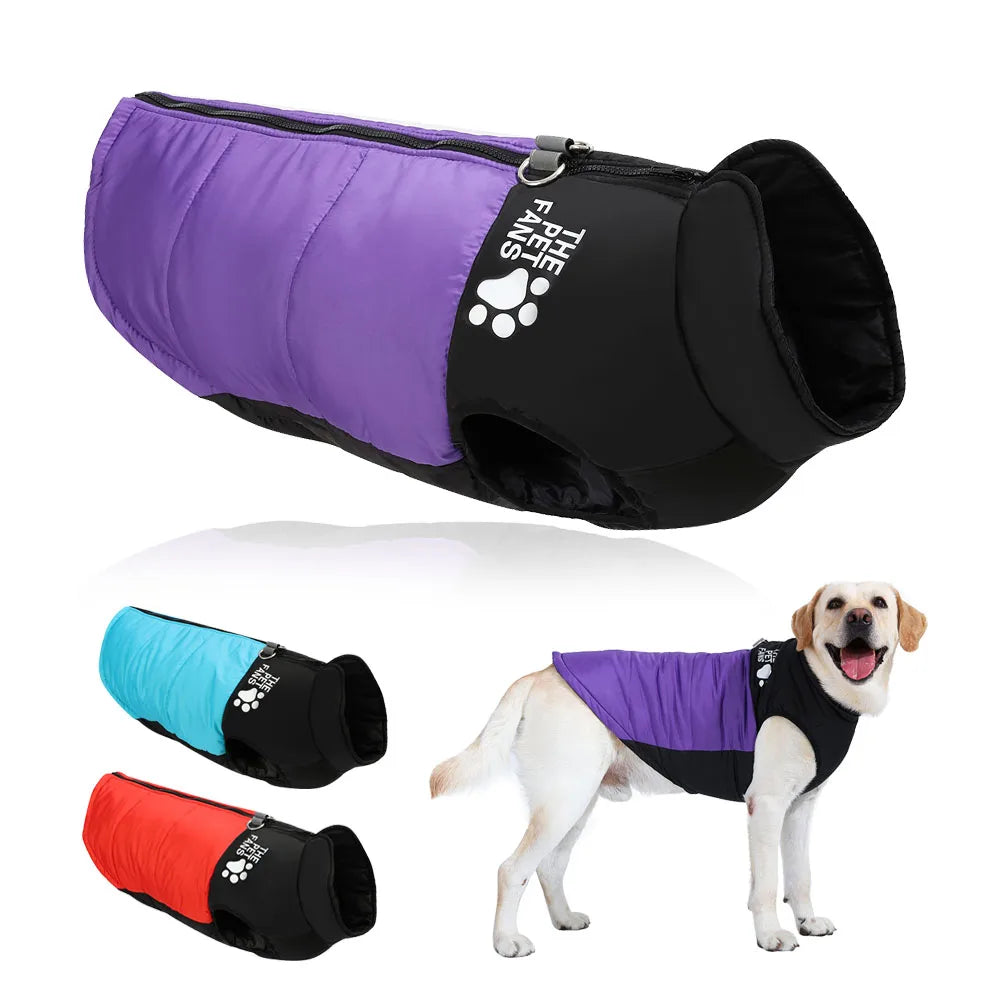 Veste d'hiver pour gros chien