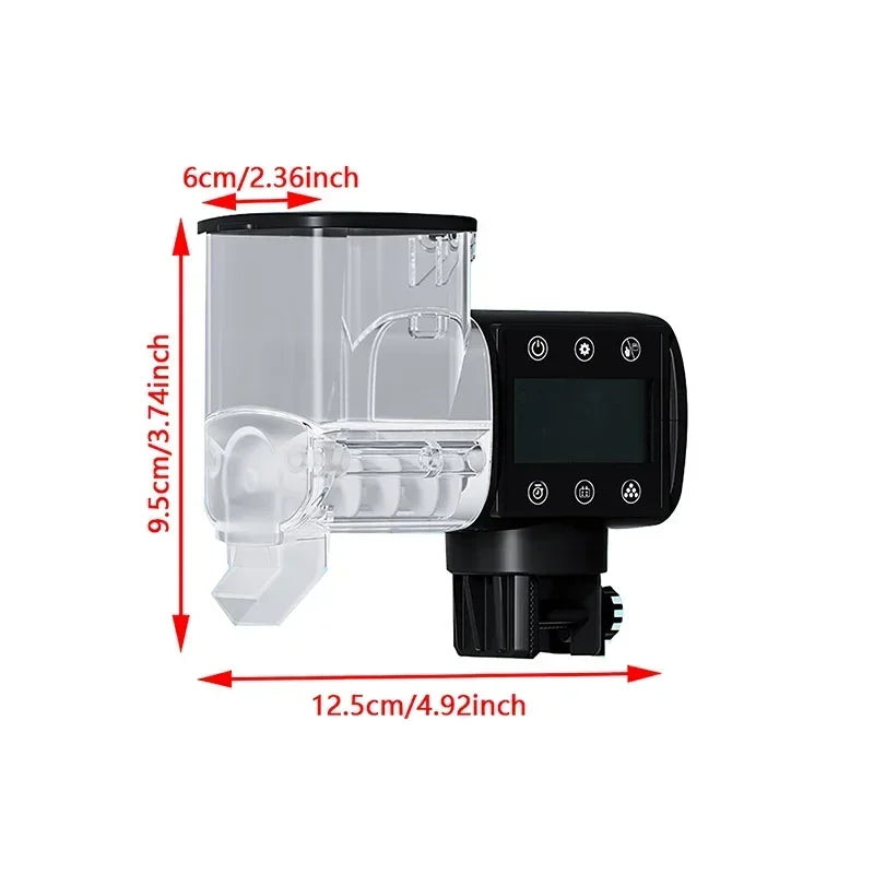 Nourrir les poissons d'aquarium