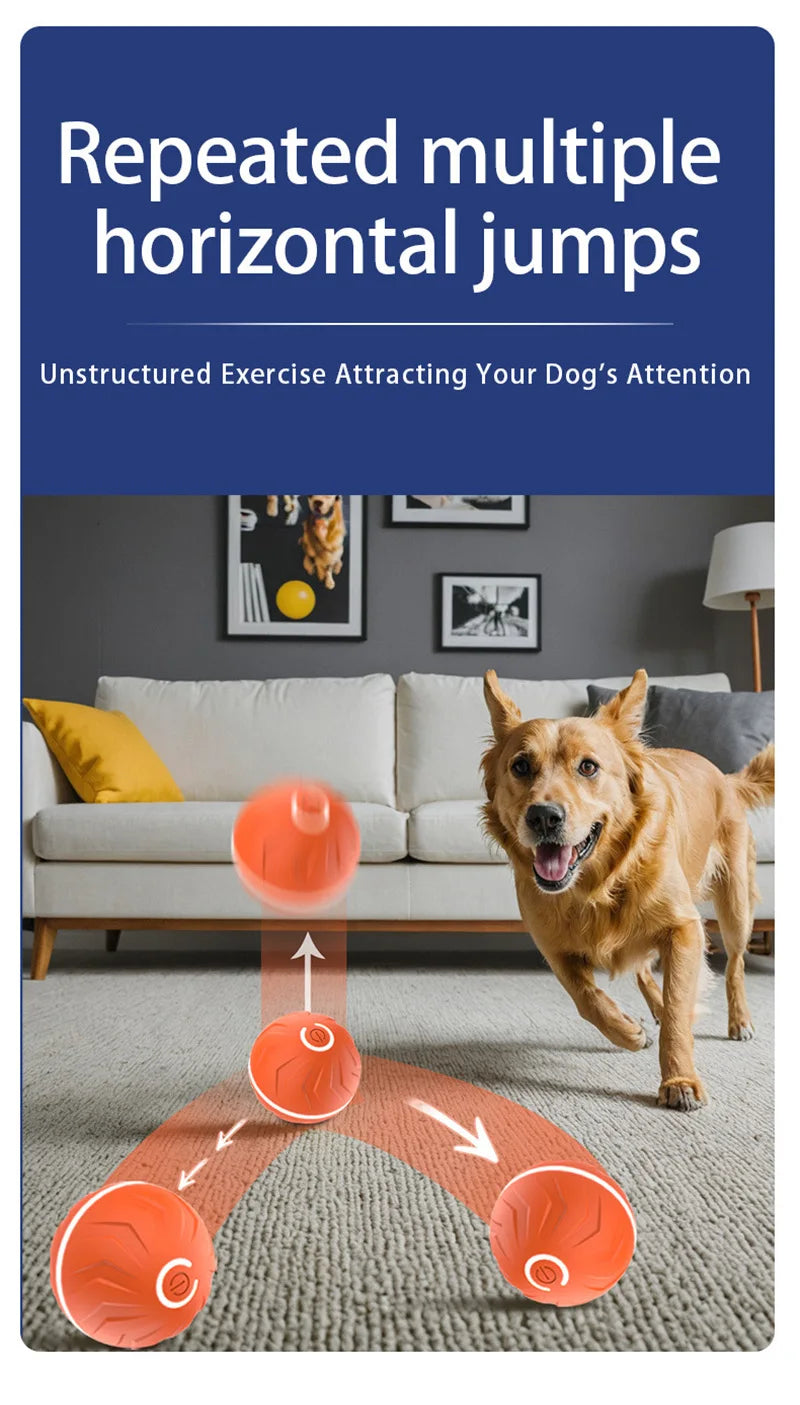 Smart Gravity Bounce Ball  Pet Toy