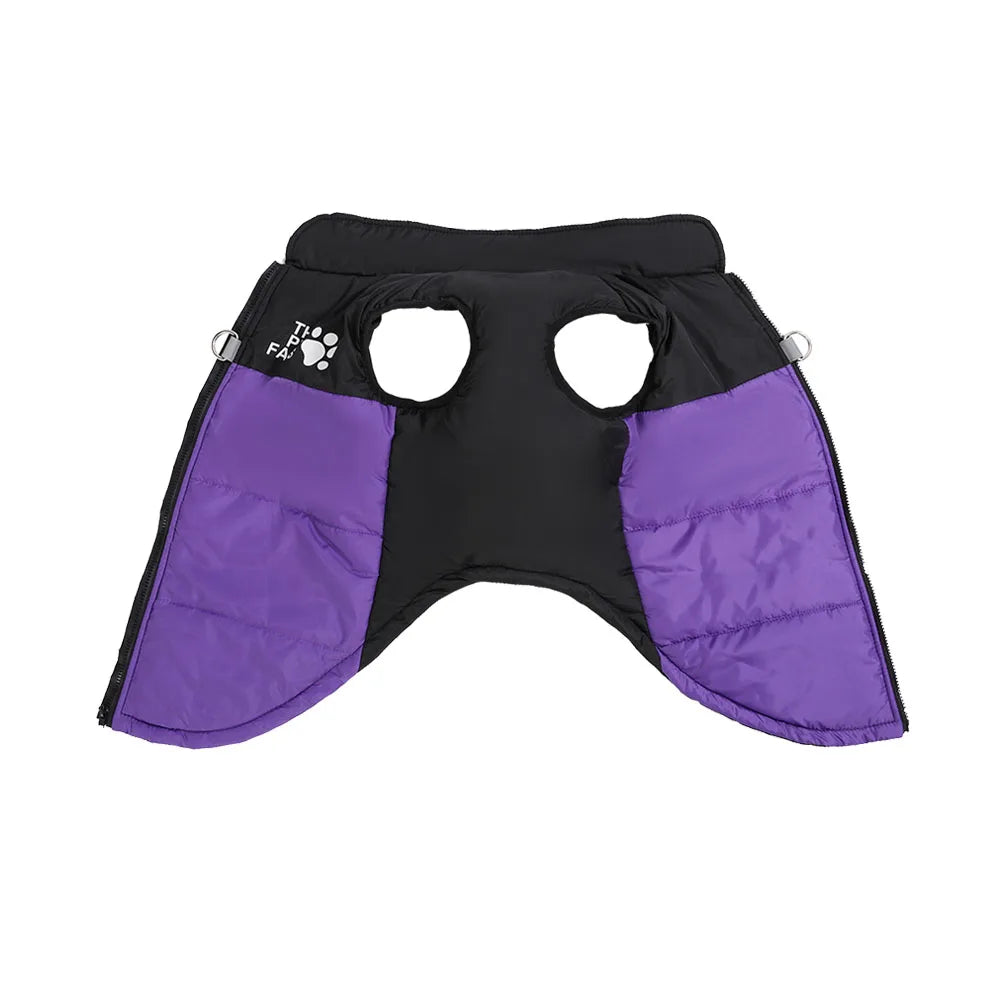 Veste d'hiver pour gros chien