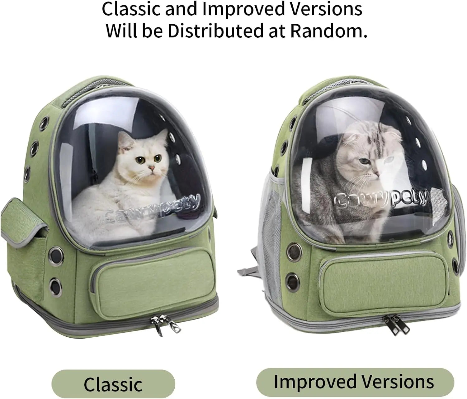 Transparent Folding Pet Carrier
