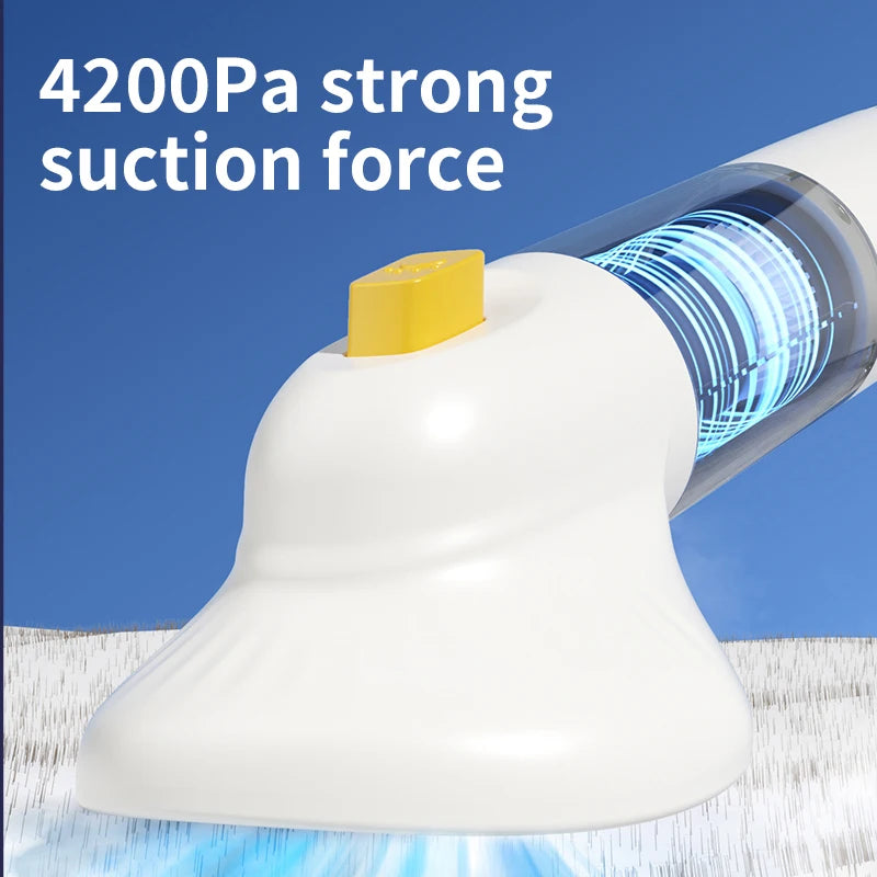 Multifunctional  pet hair removal