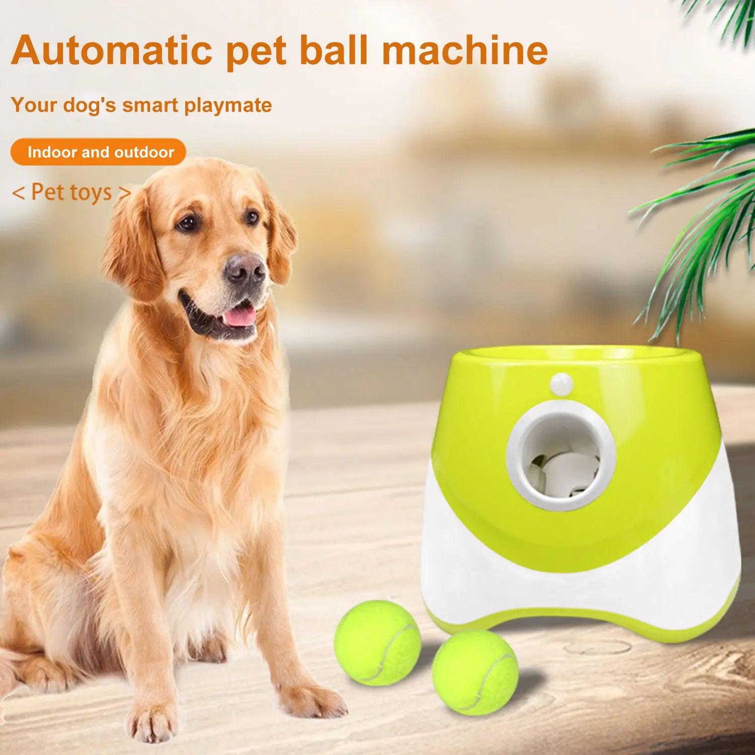 Pet Dogs Chase Toy