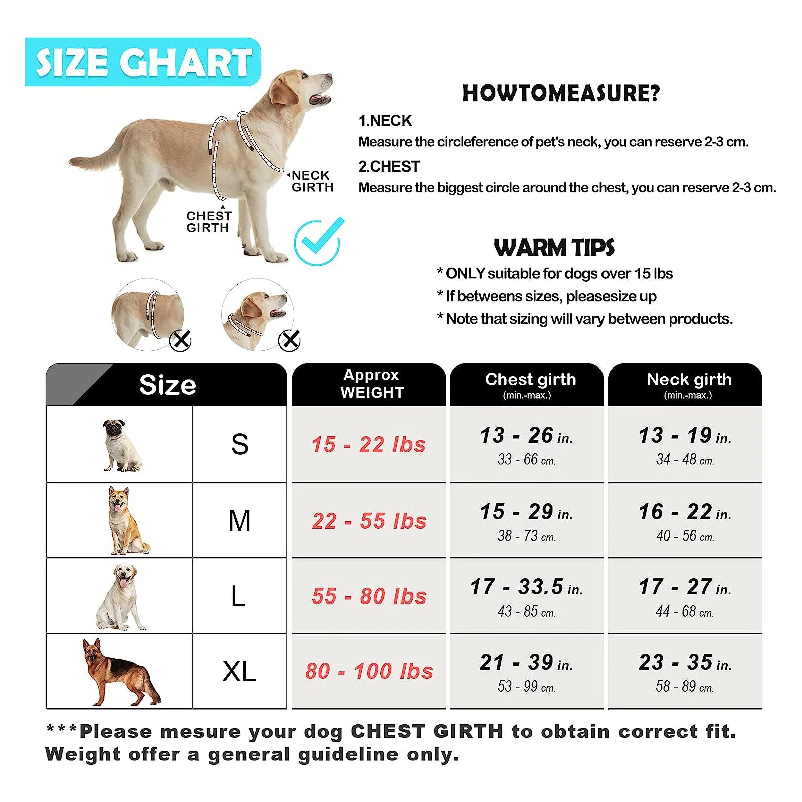 Ensemble harnais et laisse pour chien