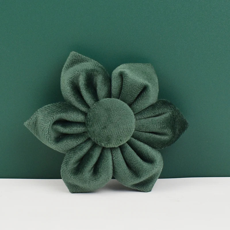 Personalized Velvet Dog Collar