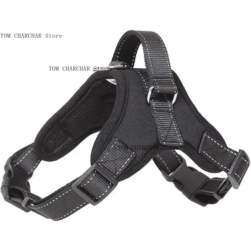 Harnais pour chien de selle