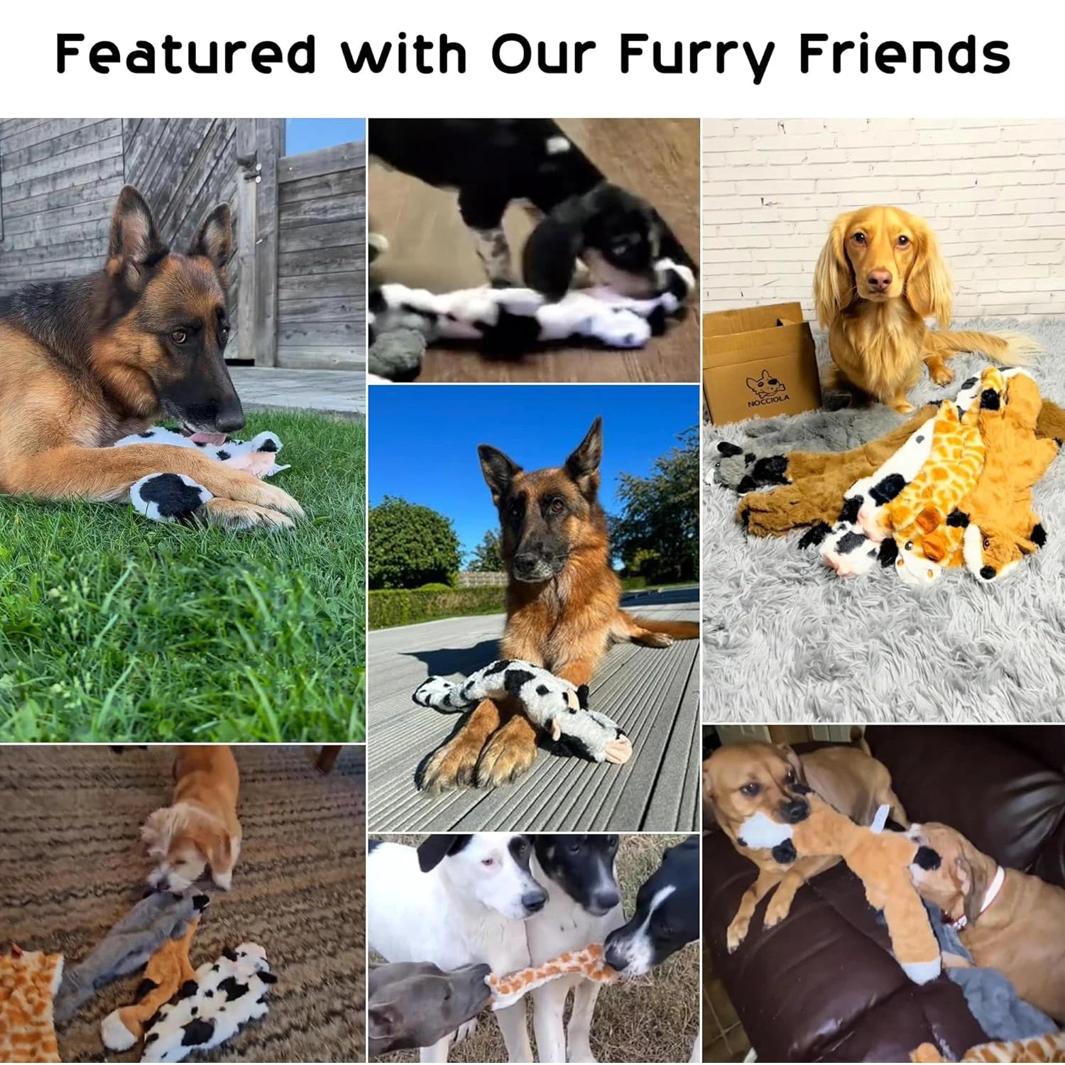 Lot de 5 jouets couineurs pour chiens