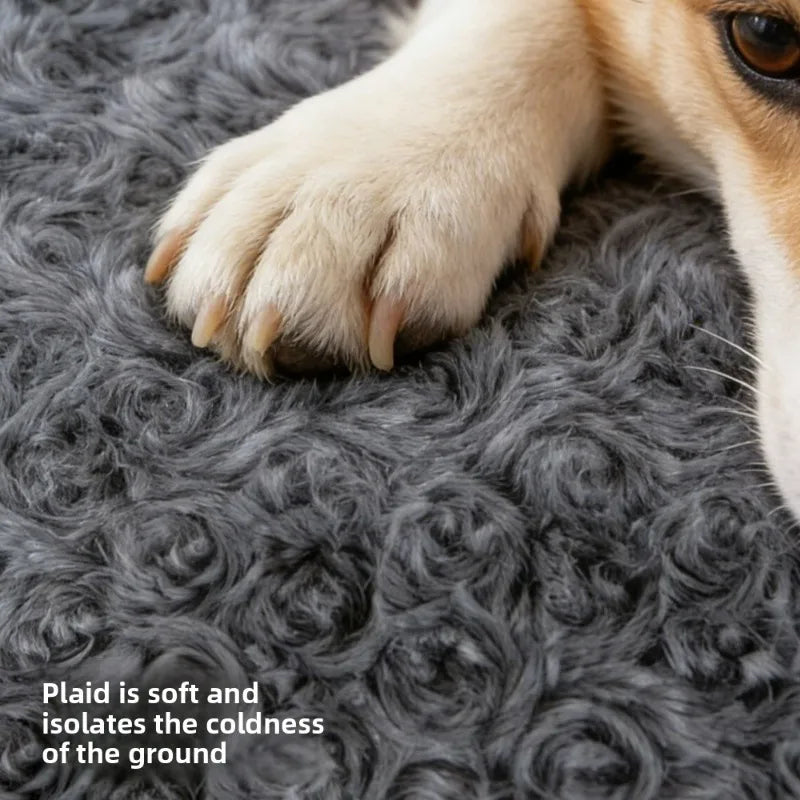 Tapis Auto-Chauffant pour Chien