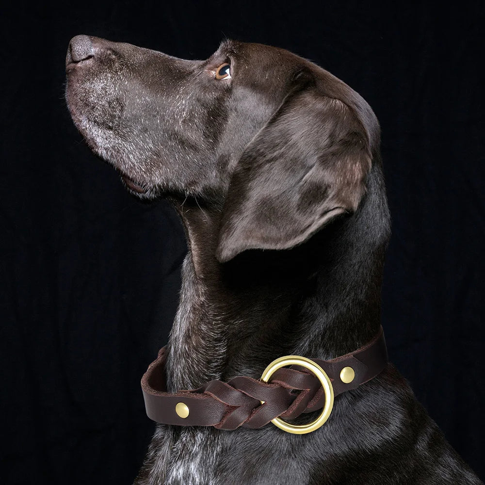 Leather Dog Collar Leash Set