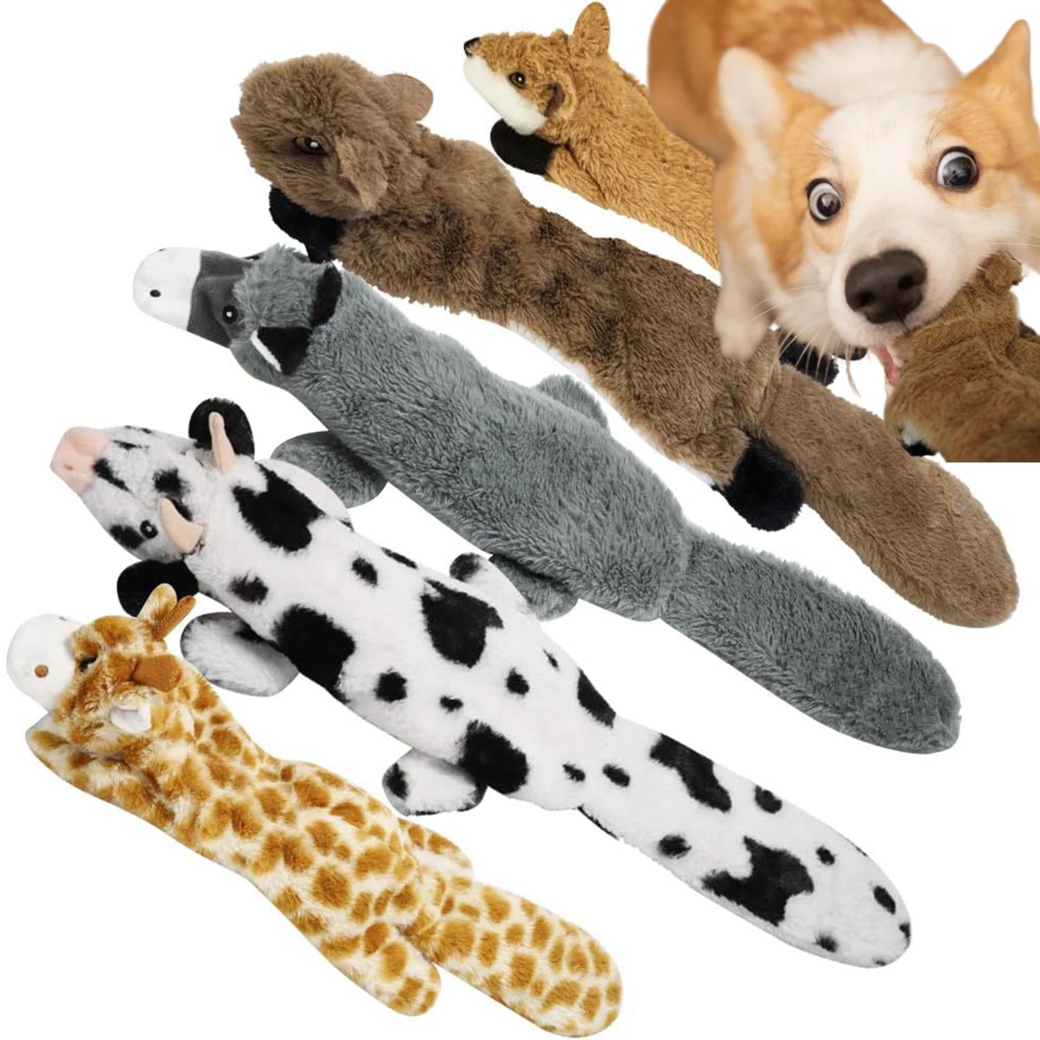 Lot de 5 jouets couineurs pour chiens