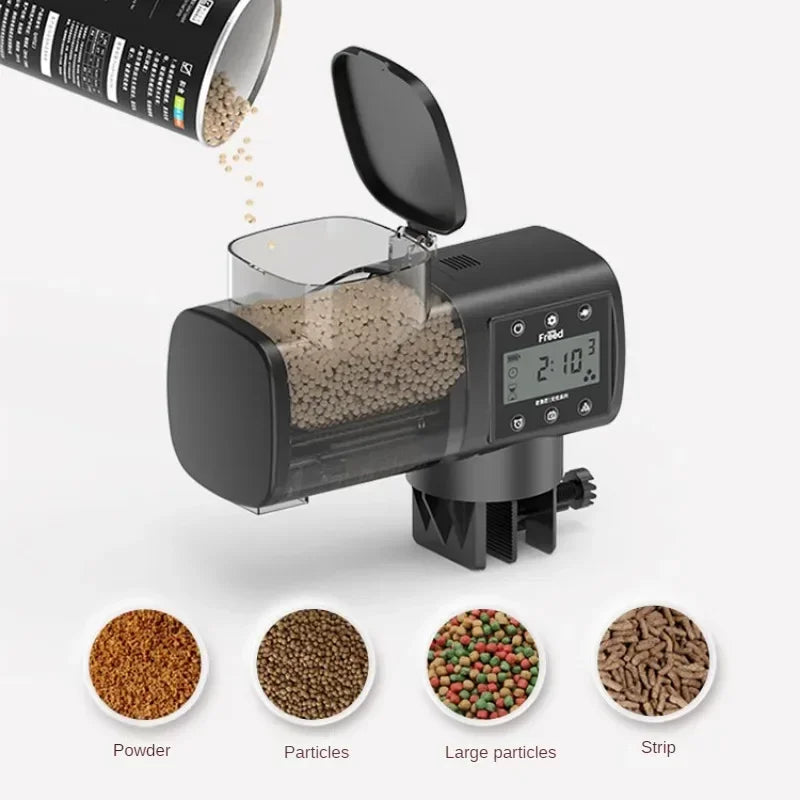 Nourrir les poissons d'aquarium