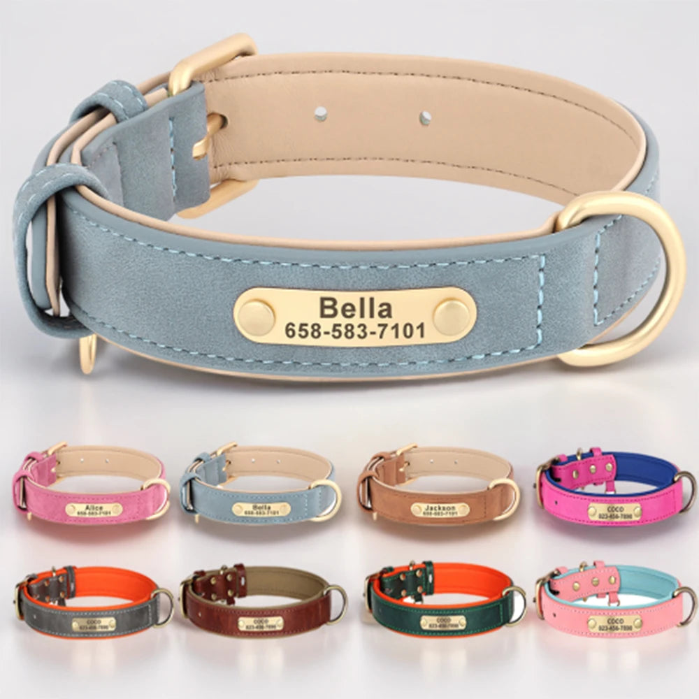 Collier pour chien gravé sur mesure
