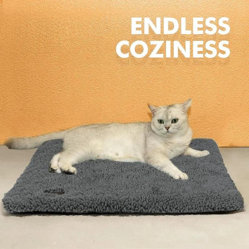 Tapis Auto-Chauffant pour Chien