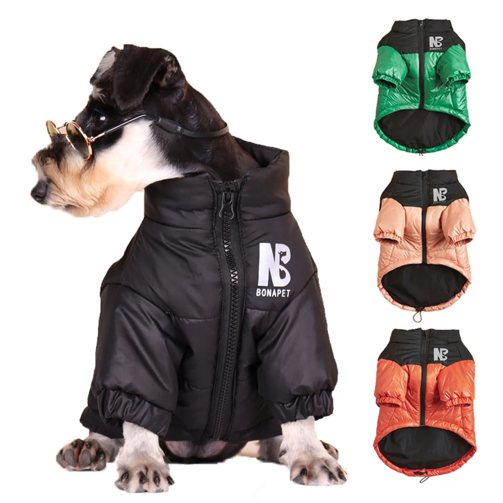 Vêtements chauds pour chiens