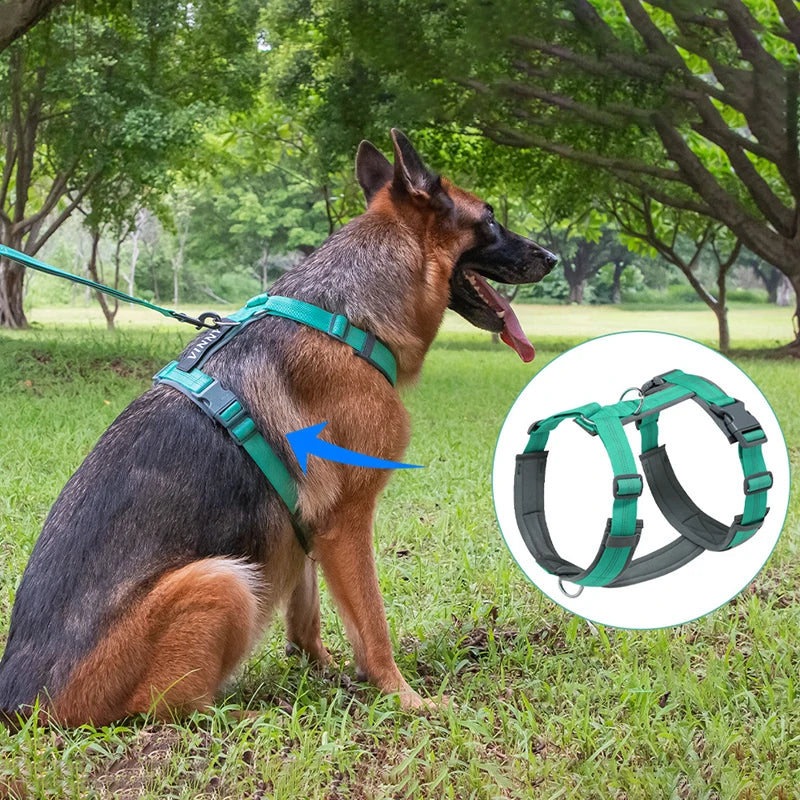 Harnais pour grand chien en forme de H