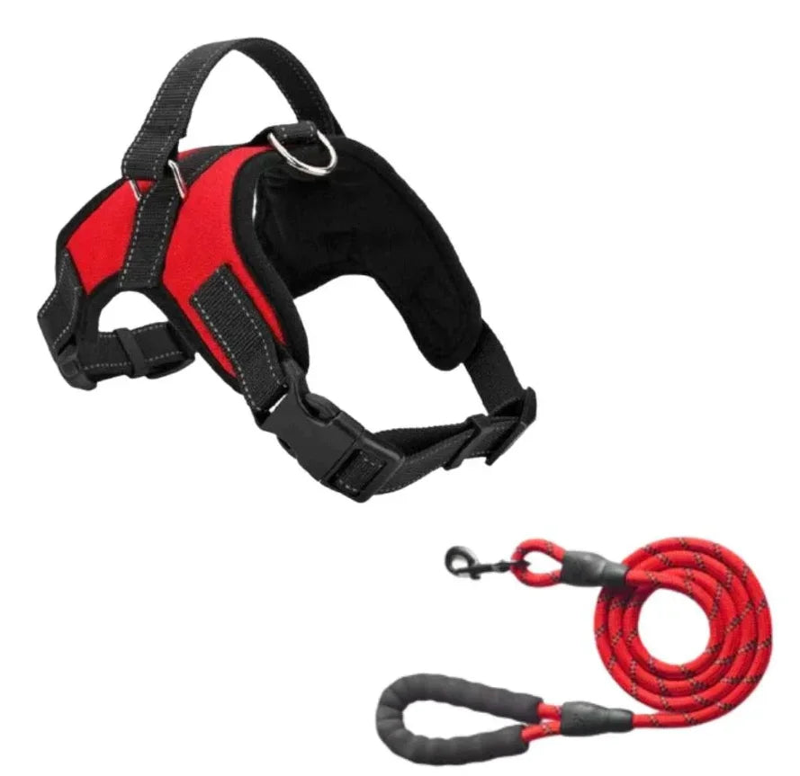 Harnais réfléchissant et respirant pour animaux de compagnie