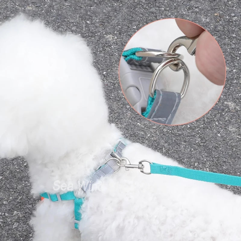 Sangle de poitrine pour chien