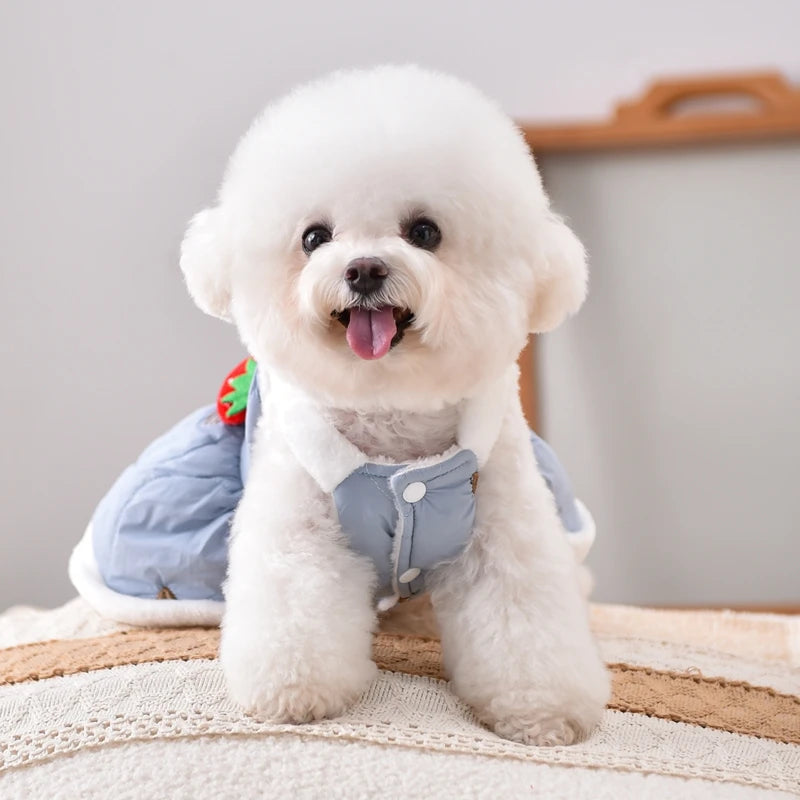 Manteau d'hiver pour animaux de compagnie