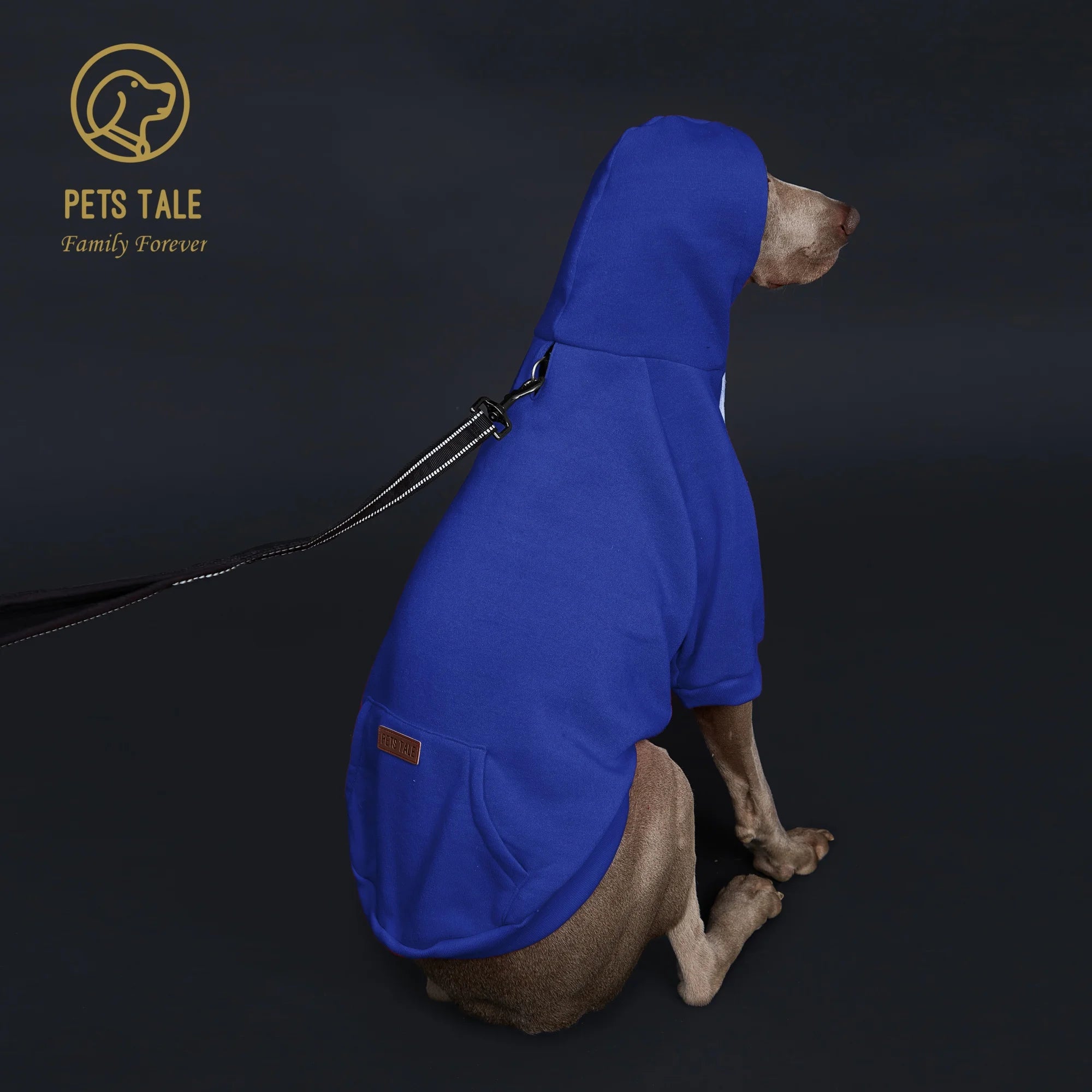 Sweat à capuche pour chien de couleur unie