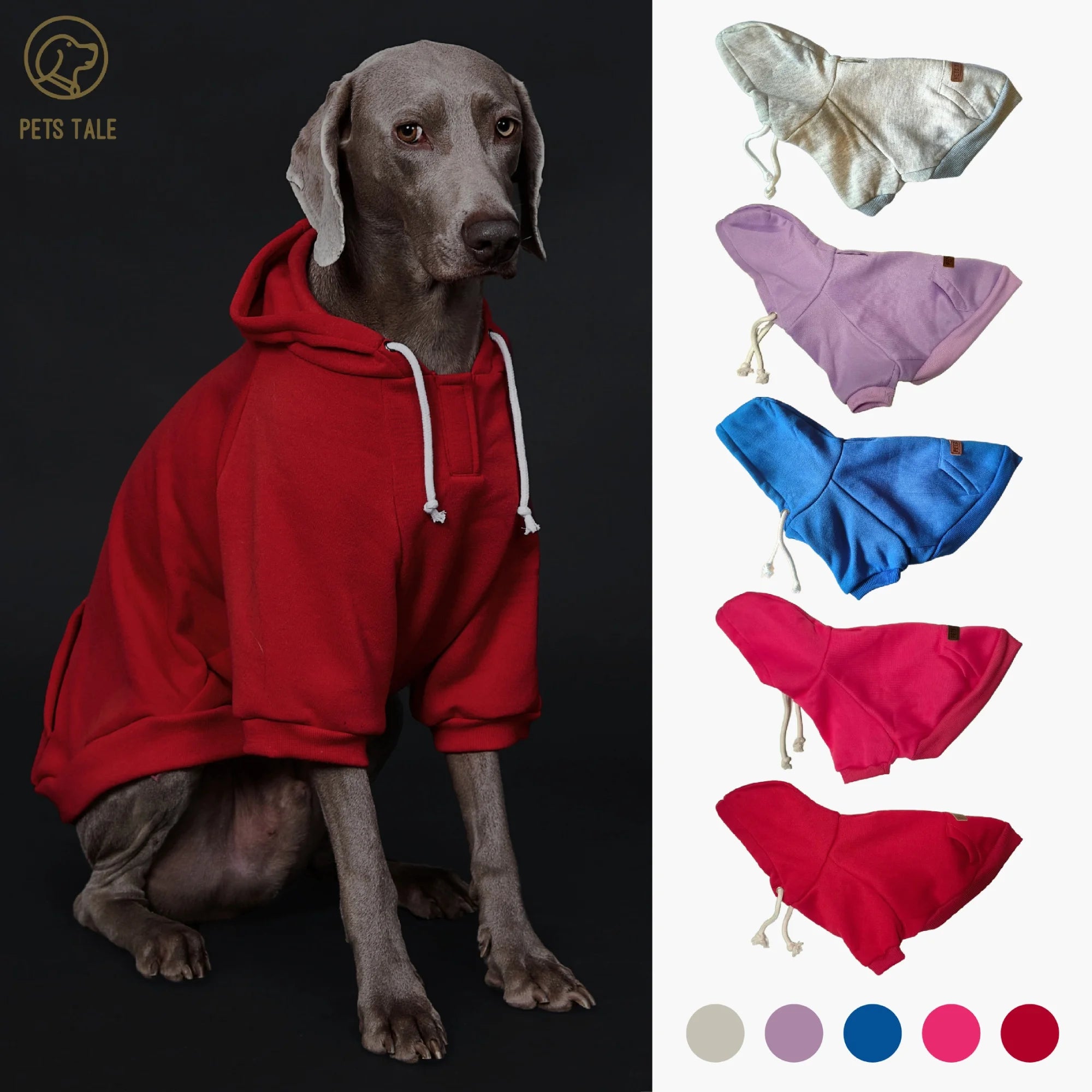 Sweat à capuche pour chien de couleur unie