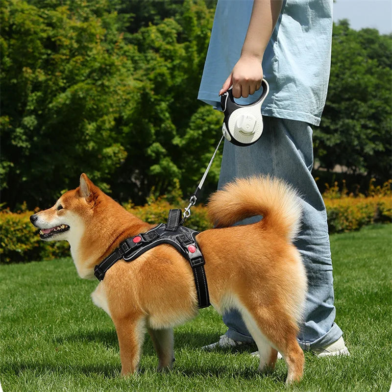 Laisse Chien 5–8 m avec Sac à Crottes
