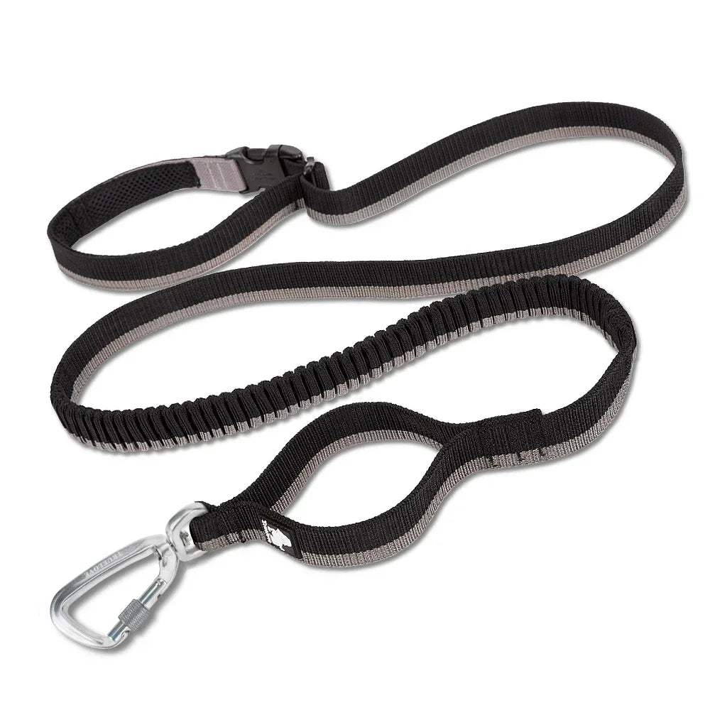 Pet Running Bungee Leash