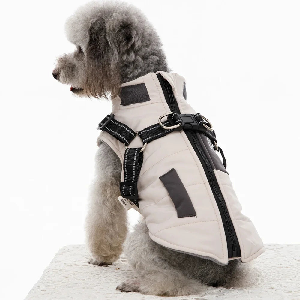 Veste pour chien