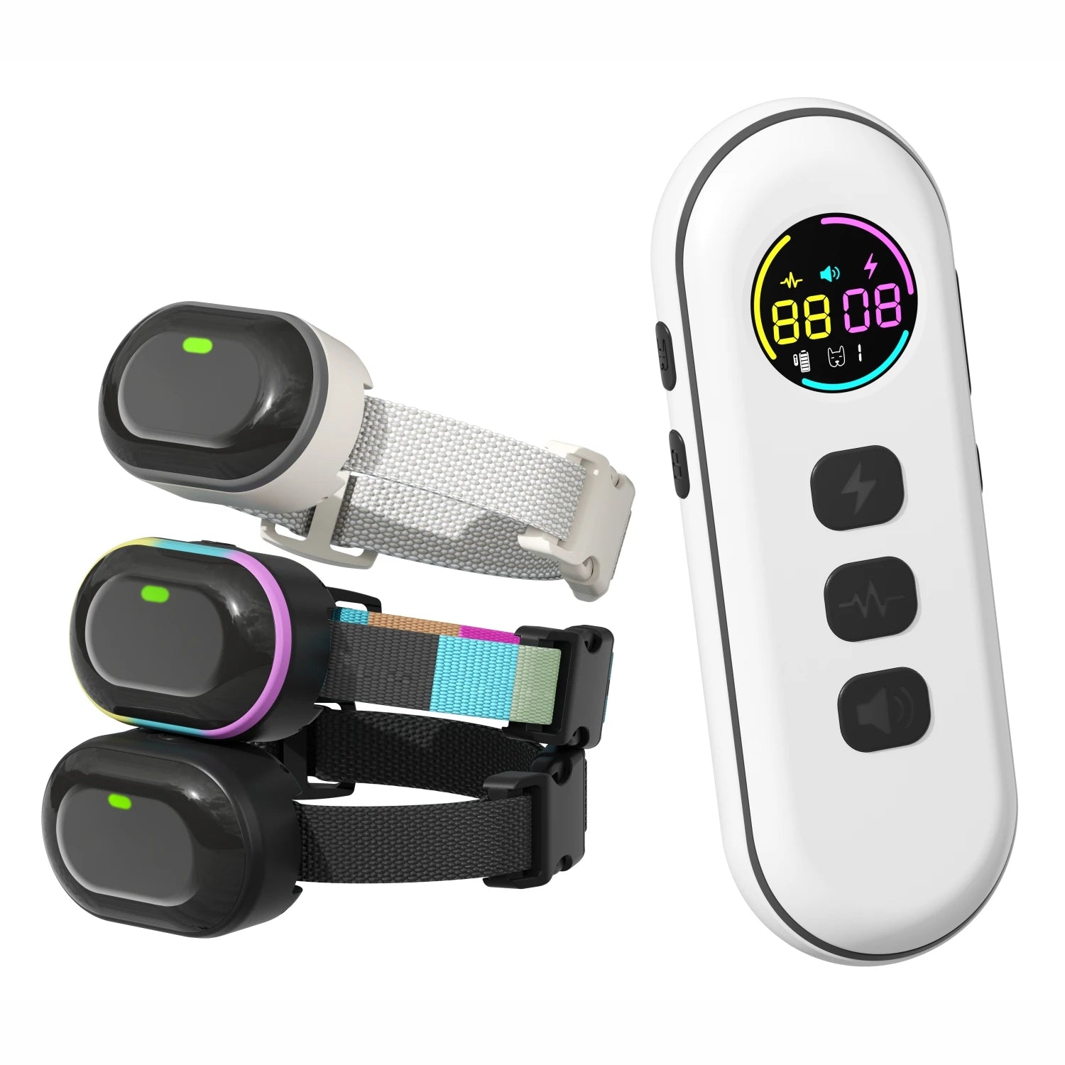 Collier de dressage pour petit chien