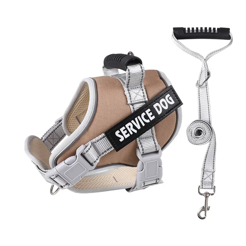 Harnais chien personnalisé