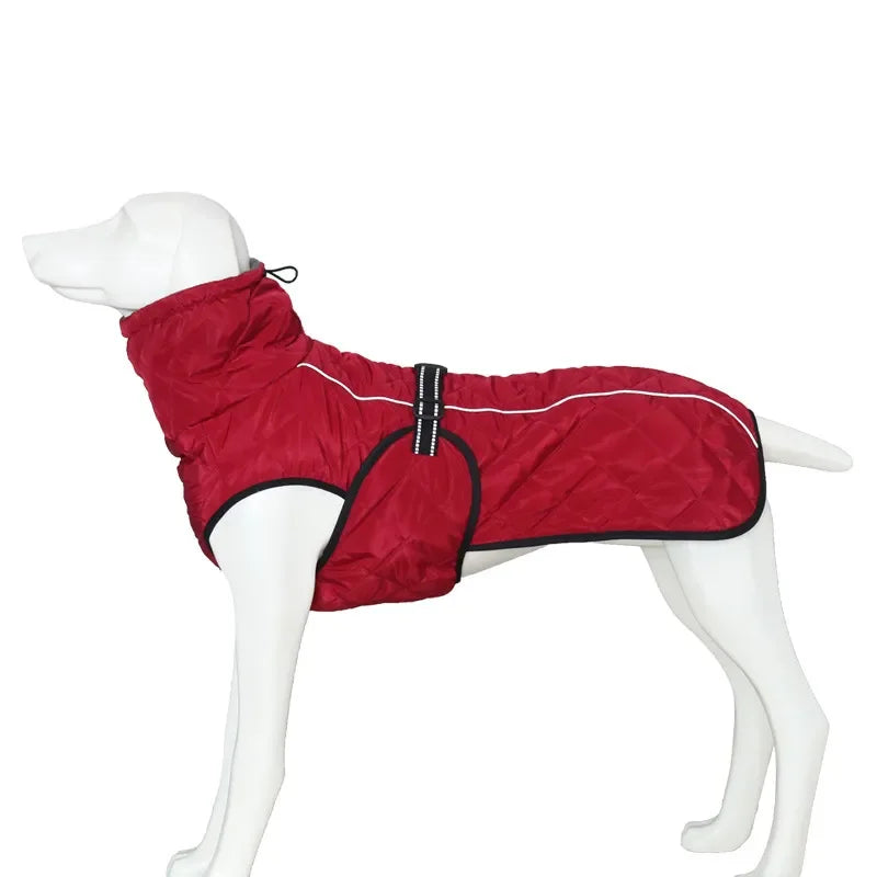 Veste d'extérieur pour chien
