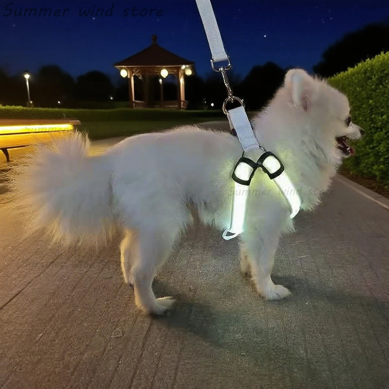 Harnais de poitrine pour chien