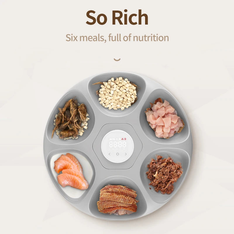 Distributeur automatique de nourriture pour animaux