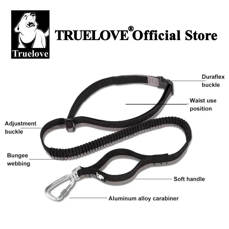 Pet Running Bungee Leash