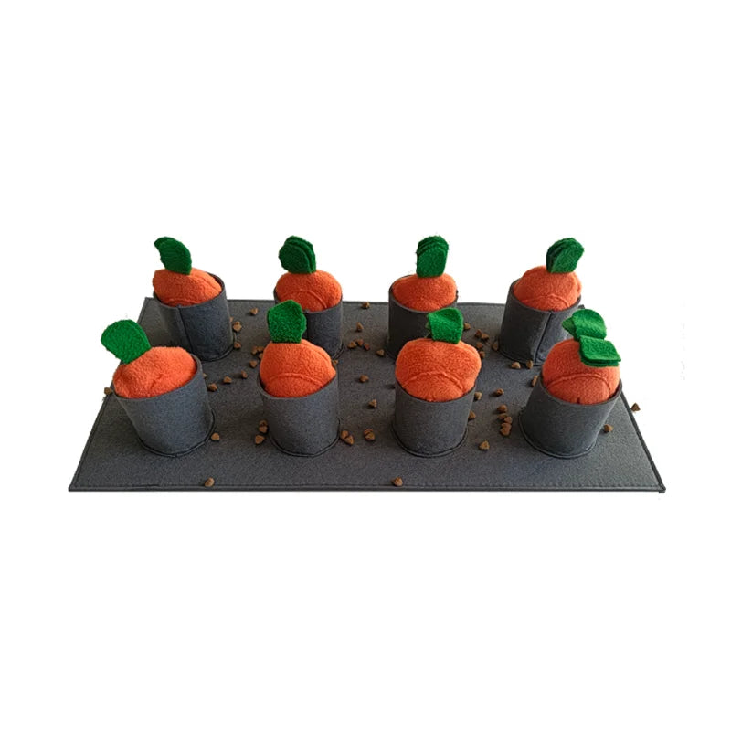 Tapis de fouille chien – Snuffle Feeding Mat PawFrance