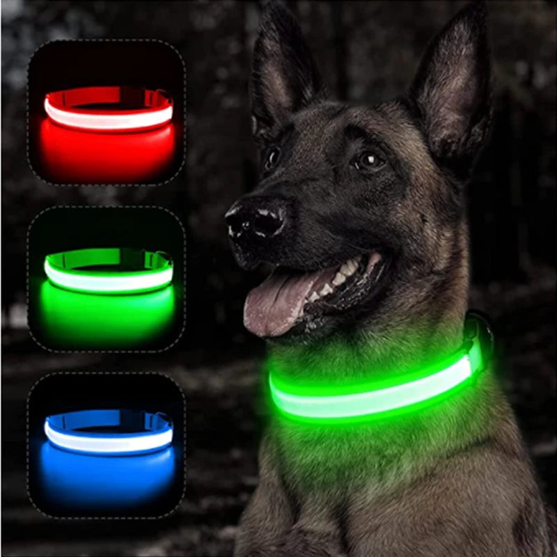 Collier pour animaux de compagnie rechargeable à LED