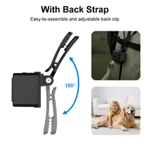 Caméra HD pour collier animaux réglable