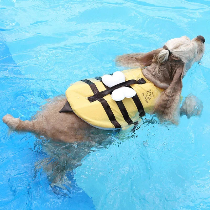 Maillot de bain pour petit chien abeille