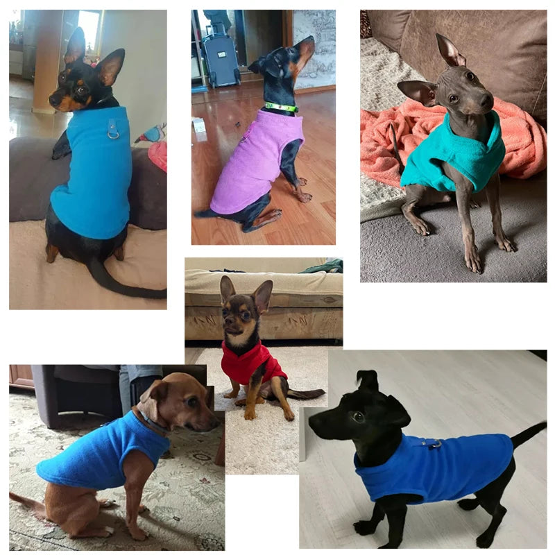 Veste polaire d'hiver pour chien